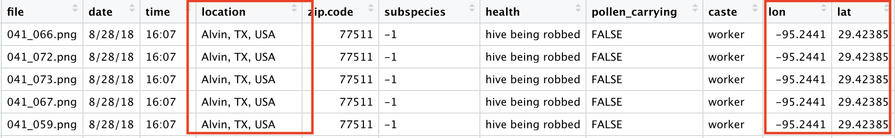 example rows of the bee dataset